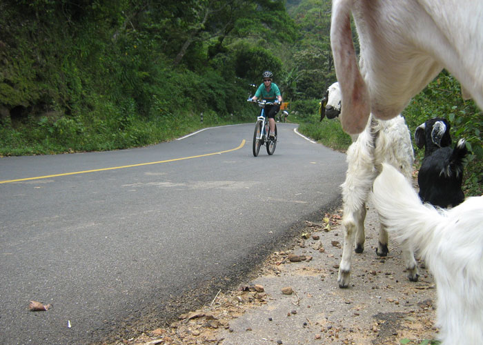 Friends along the road during Munnar cycling 