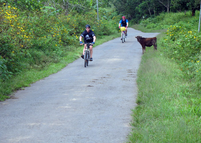 Colourful countryside during cycling from Munnar to Periyar